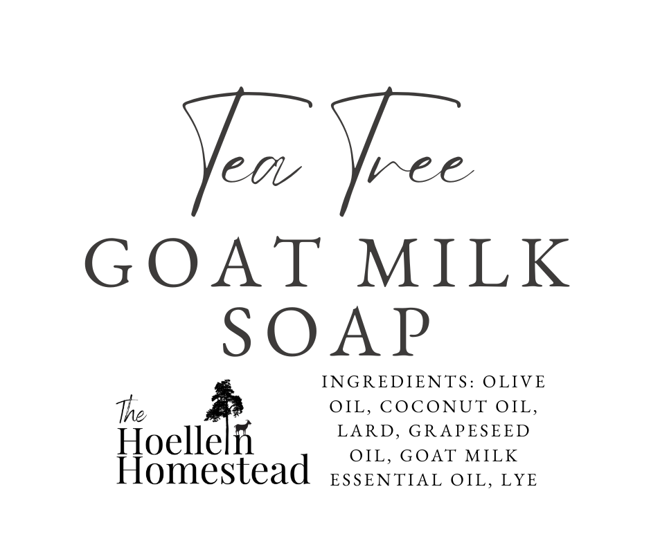 Tea Tree Charcoal Goat Milk Soap for Acne-Prone Skin